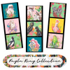 Kayla Reay Collection Panels